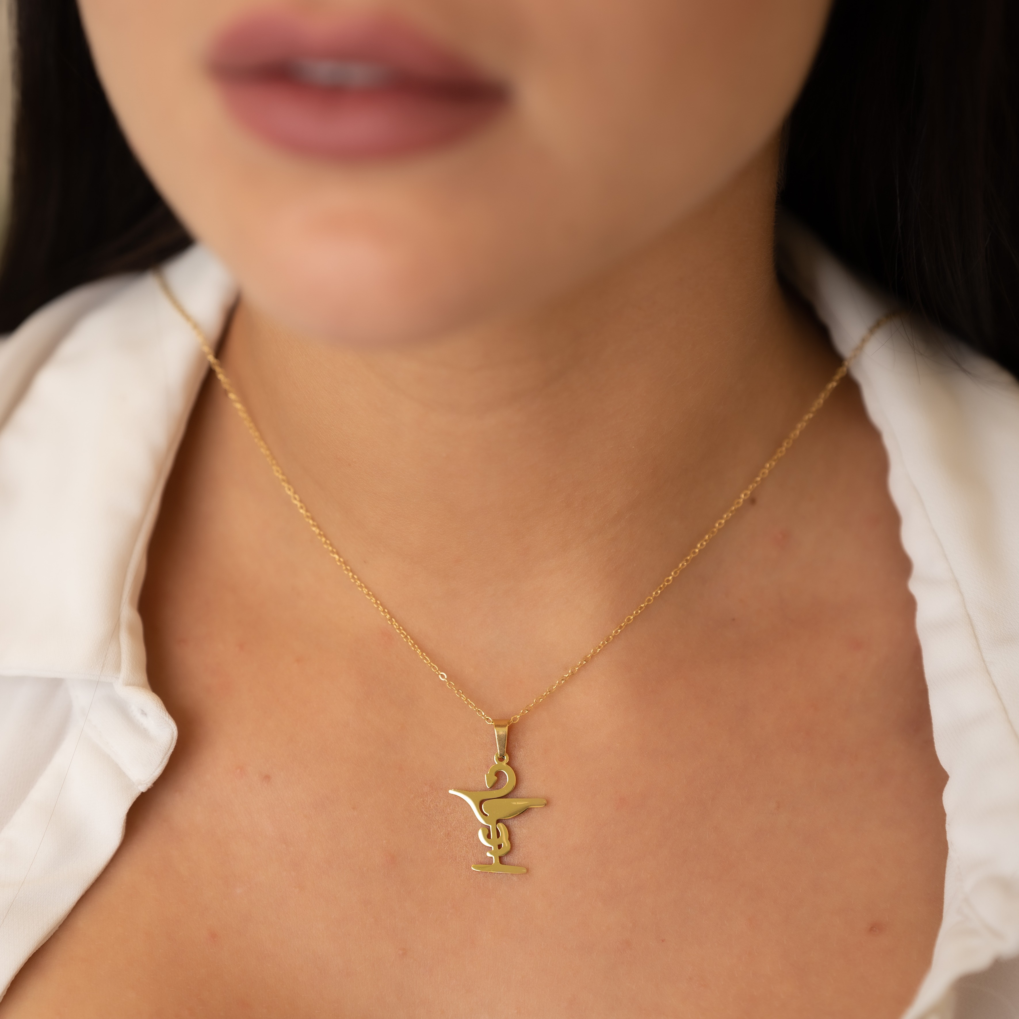 Pharmacy Necklace