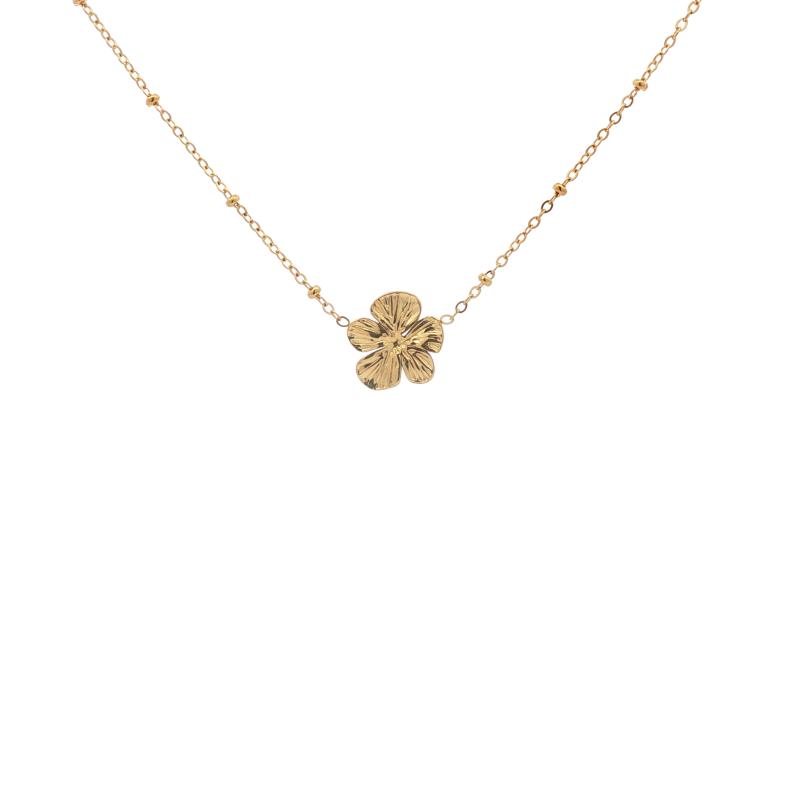 تشوكر زهرة خماسية البتلات